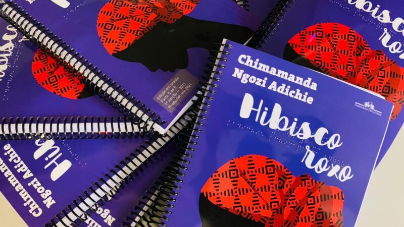 Acervo de livros em baille é ampliado na Biblioteca Municipal