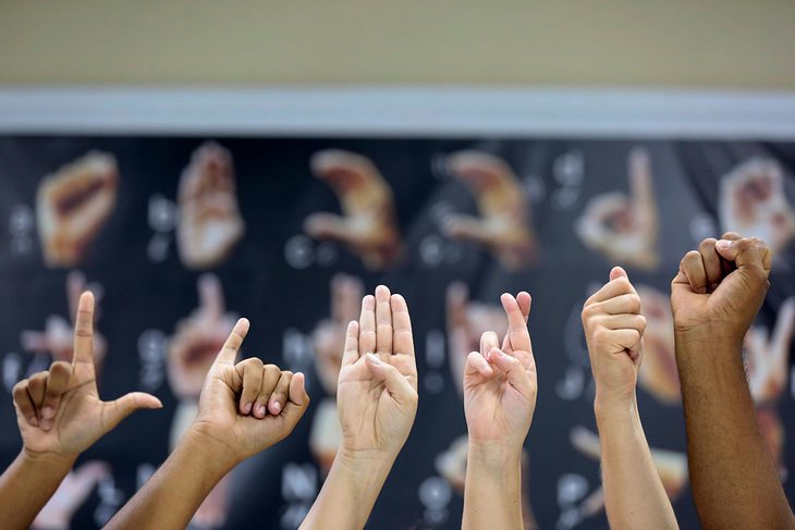 Educação Vitória: intérpretes e tradutores de Libras são chamados para atuar na rede de ensino