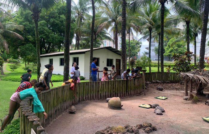 Crianças do bairro do Quadro terão atividades ambientais na Mata Paludosa