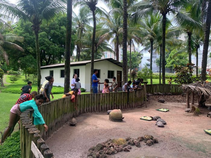 Crianças do bairro do Quadro terão atividades ambientais na Mata Paludosa
