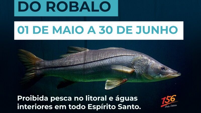 Período do defeso do robalo começa nesta quarta e vai até o dia 30 de junho