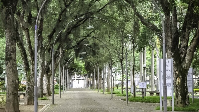 Memórias e tradições do Parque Moscoso deram nome ao Cras do Centro