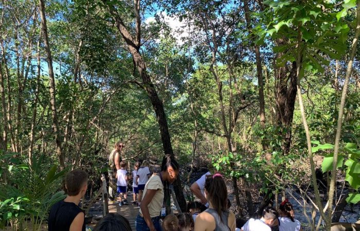 Projeto Mangueando na Educação terá início na Emef Castelo Branco