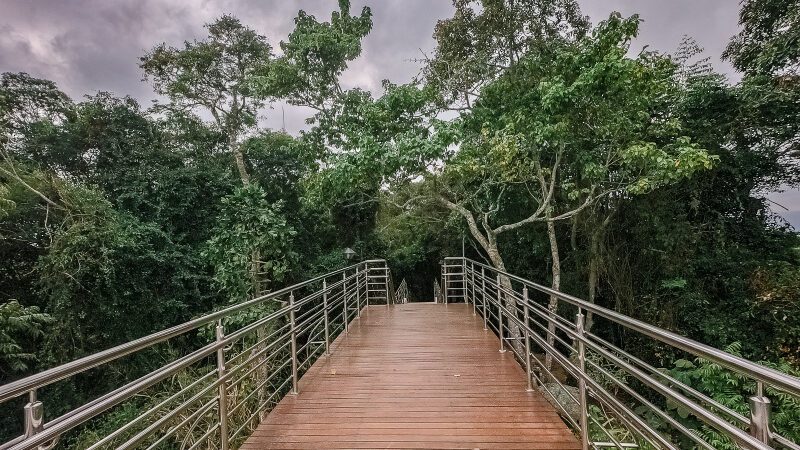 Corpus Christ: parques de Vitória estarão abertos neste feriadão