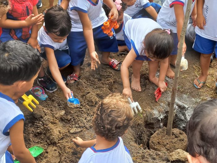 Educação: crianças plantam árvores e aprendem sobre sustentabilidade