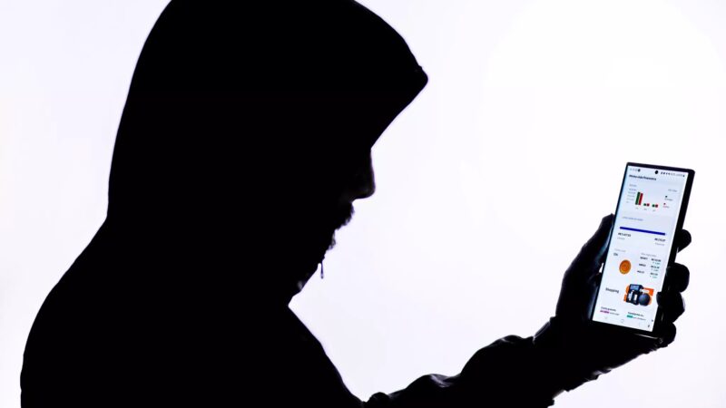 Fraudes no Pix: mais de 390 mil notificações por mês em 2024, informa BC