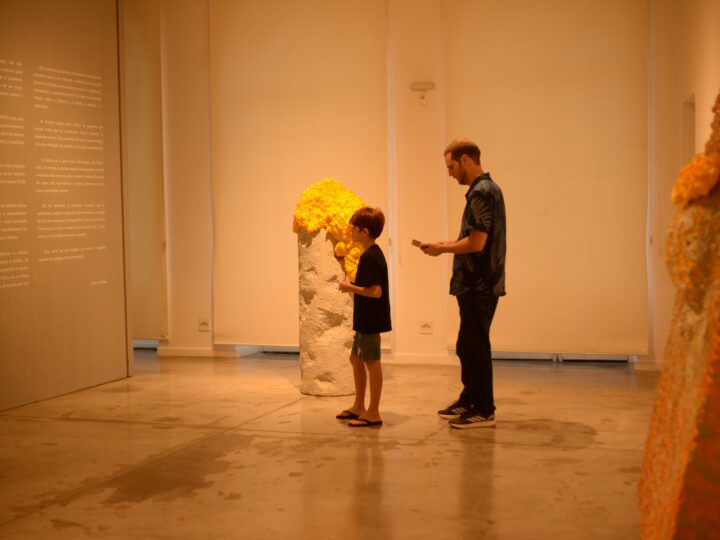 Exposição de Re Henri promove programa educativo, conectando arte, ciência e interdisciplinaridade em experiência poética única