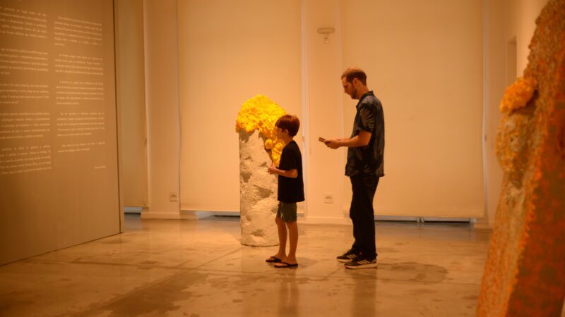 Exposição de Re Henri promove programa educativo, conectando arte, ciência e interdisciplinaridade em experiência poética única