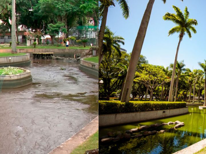 Diretor da Regional esclarece retirada de peixes do Parque Moscoso e nega irregularidade