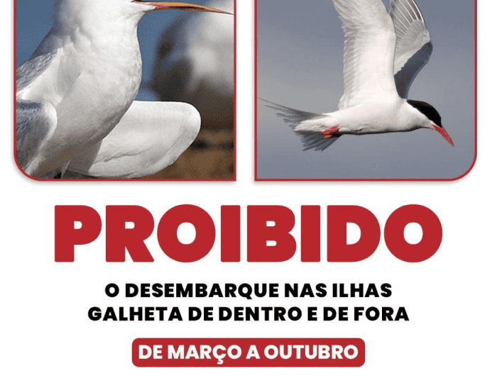 Acesso às Ilhas Galheta, em Vitória, segue proibido até 31 de outubro