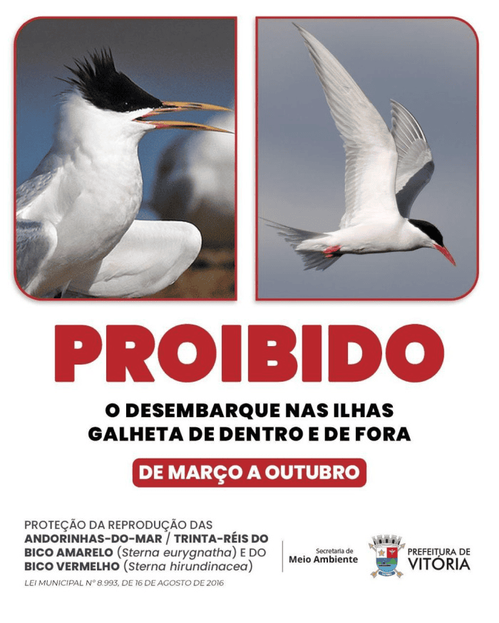 Acesso às Ilhas Galheta, em Vitória, segue proibido até 31 de outubro