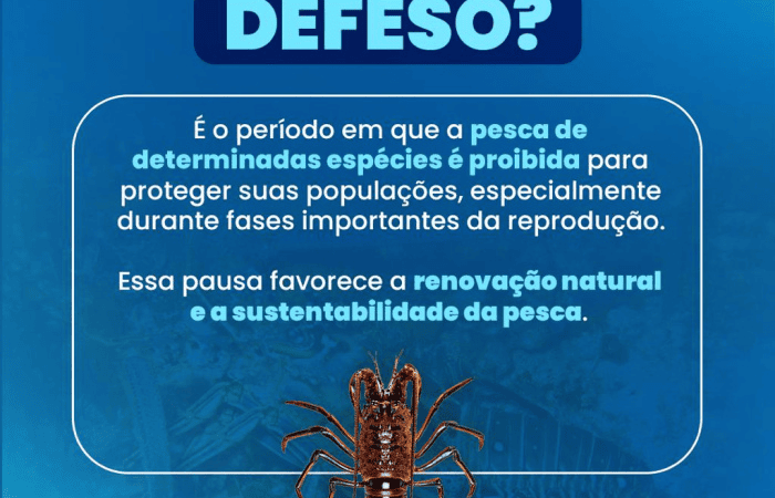 Prefeitura de Vitória orienta população sobre defeso da lagosta
