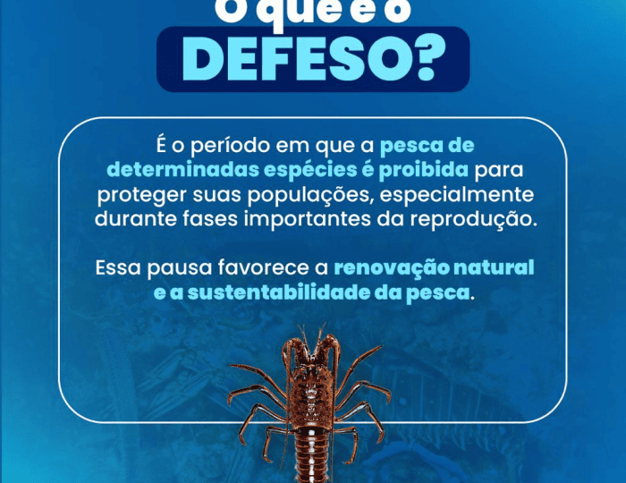 Prefeitura de Vitória orienta população sobre defeso da lagosta