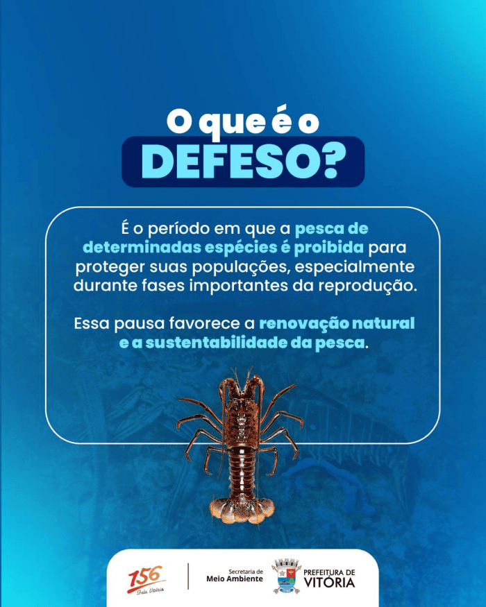 Prefeitura de Vitória orienta população sobre defeso da lagosta
