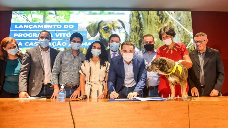 Prefeitura lança programa “Vitória da Castração Animal”