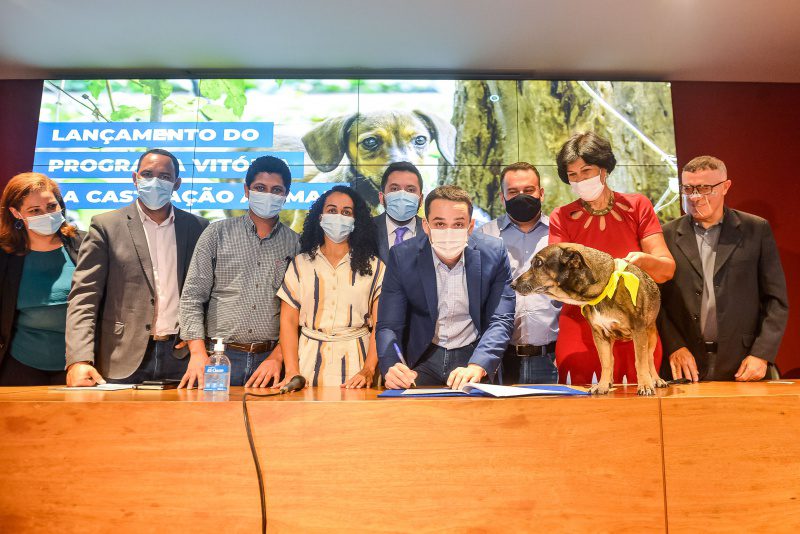 Prefeitura lança programa “Vitória da Castração Animal”