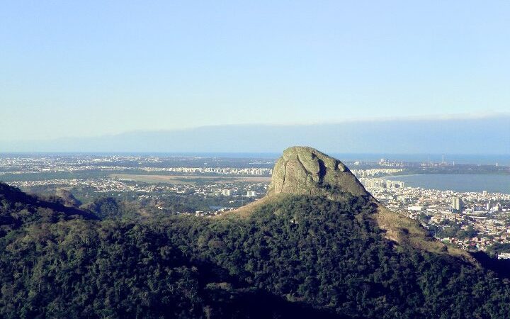 Dia da Árvore: PMV anuncia programa que prevê uma árvore para cada habitante