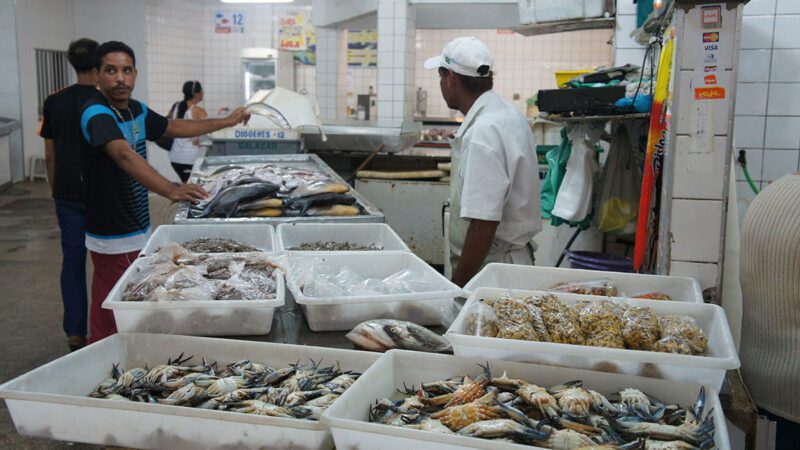 Projeto preserva Mercado de Peixes da Vila Rubim