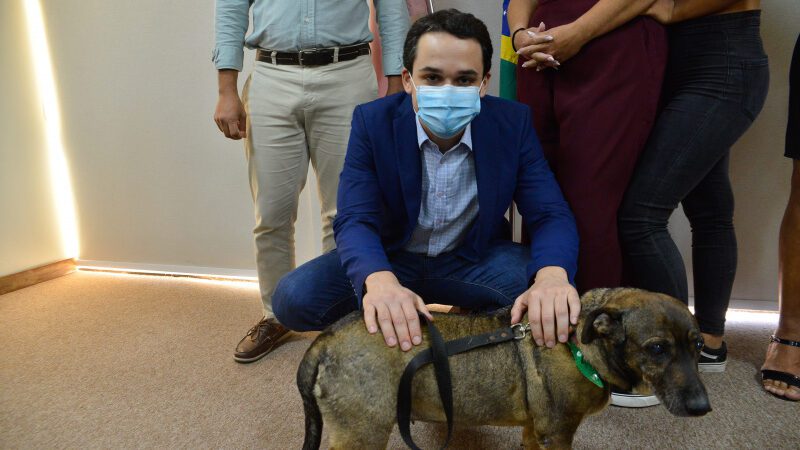 Prefeito autoriza início das cirurgias do programa Vitória da Castração Animal