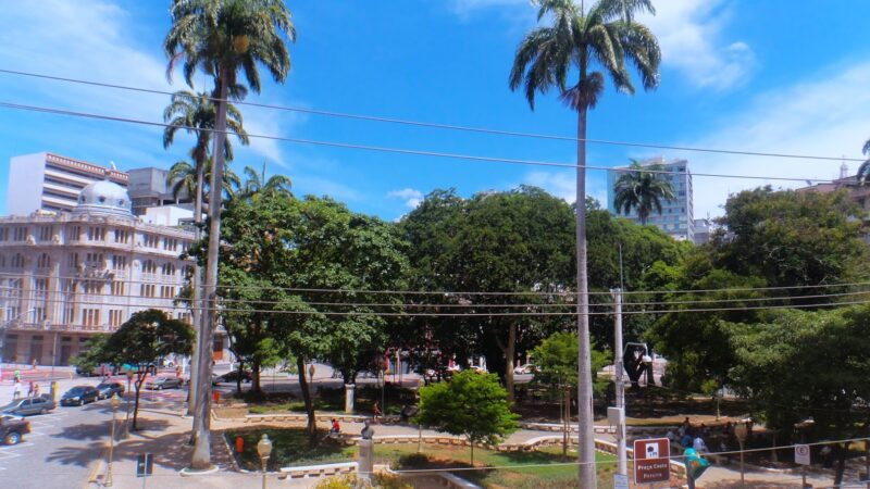 As históricas palmeiras da praça Costa Pereira recebem tratamentos
