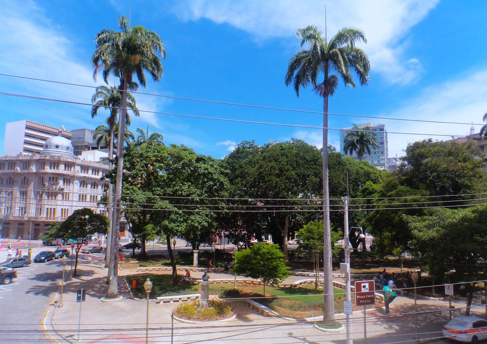 As históricas palmeiras da praça Costa Pereira recebem tratamentos