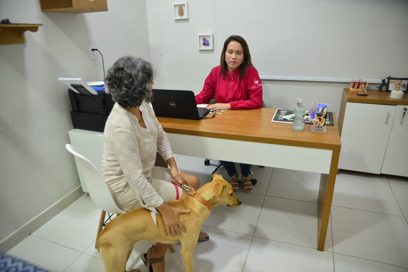 Programa de acolhimento e tratamento de animais é lançado pela prefeitura de Vitória