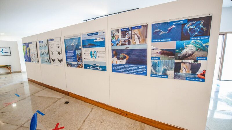 Prefeitura Municipal de Vitória recebe exposição fotográfica marítima
