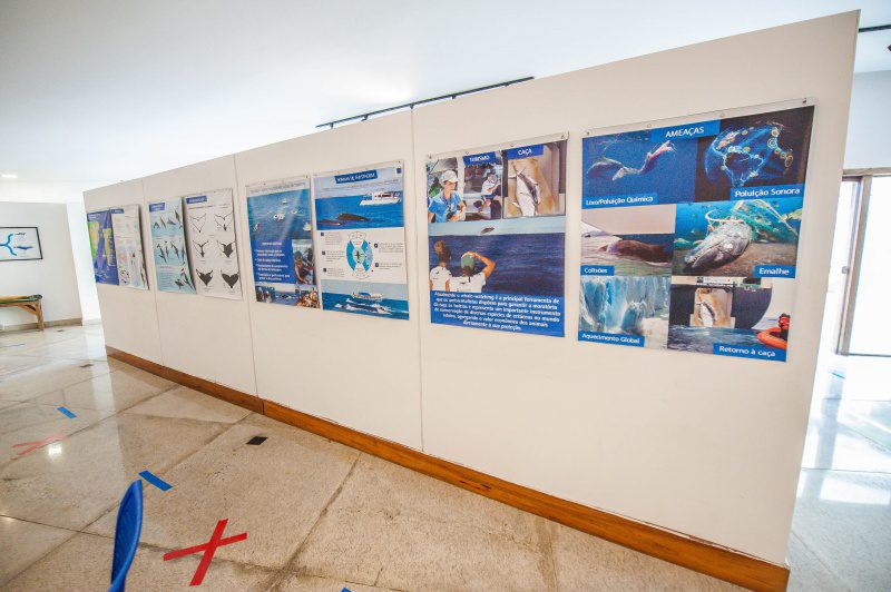 Prefeitura Municipal de Vitória recebe exposição fotográfica marítima