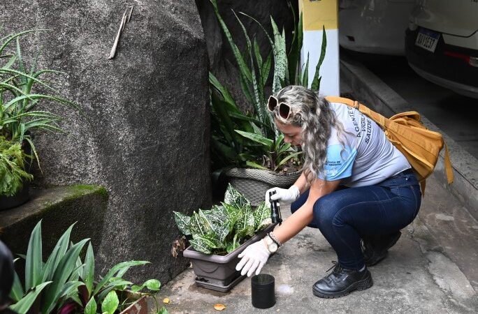 Estudo mostra que principais criadouros da dengue estão em residências