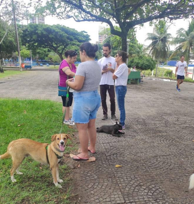 Tutores receberão orientações em Santo Antônio sobre guarda responsável de animais