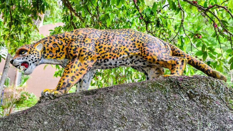 Vivência no Parque Gruta da Onça reúne os Guardiões Ambientais Mirins em atividade educativa