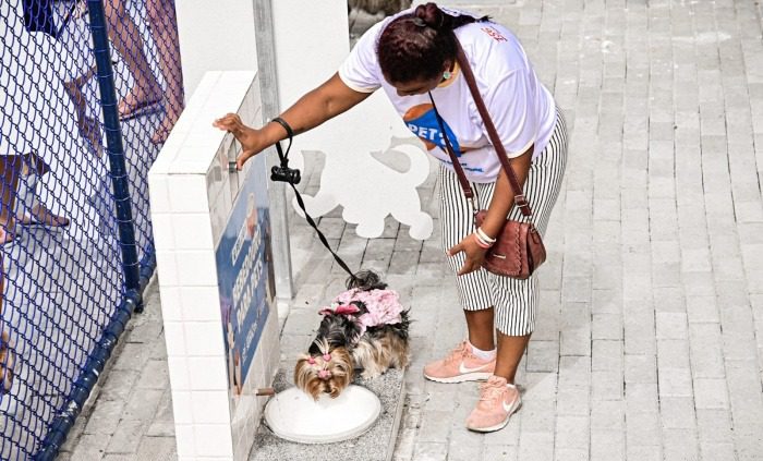 Pet Park em Renovação: Espaços Reformados para a Diversão dos Cãezinhos