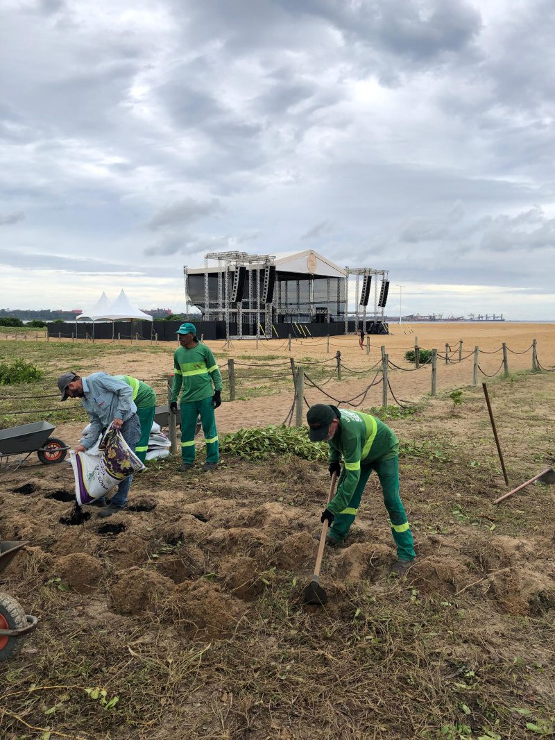 Recuperação da restinga da praia de Camburi é realizada em ação pelo Meio Ambiente