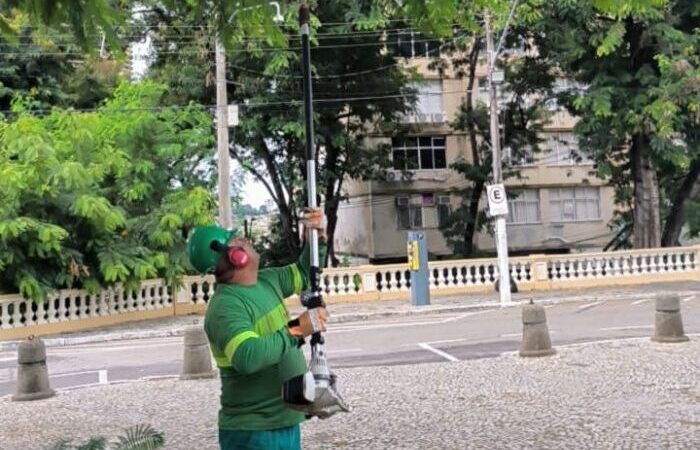 Festa da Penha: região da Catedral recebe serviço de poda e paisagismo