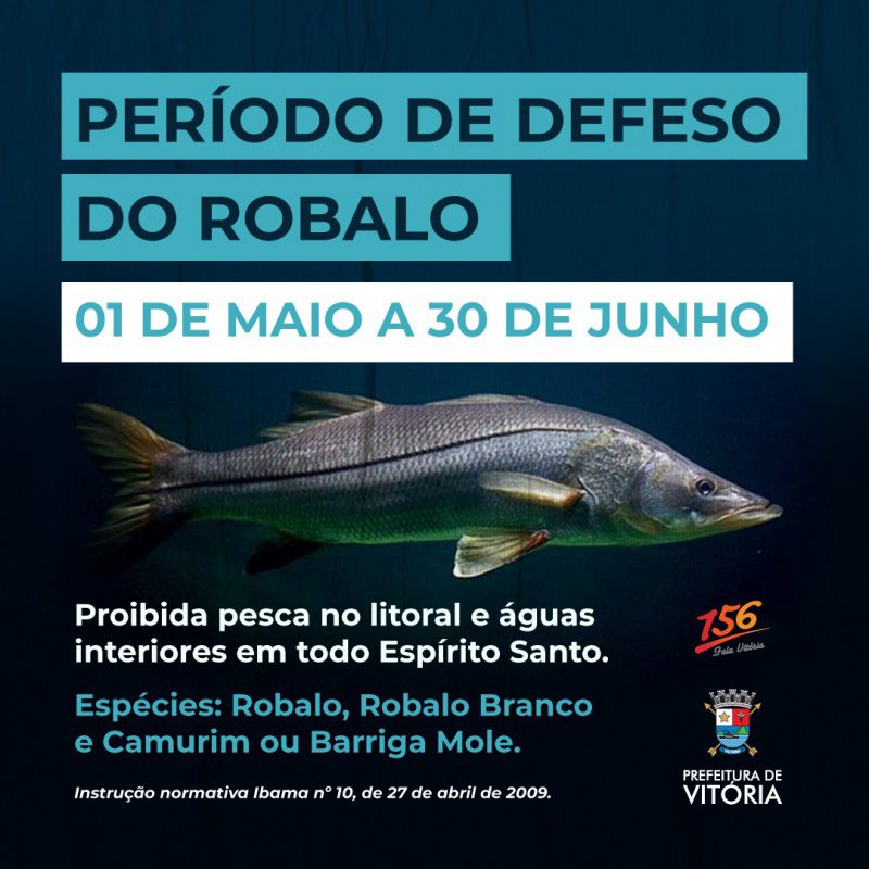 Período do defeso do robalo começa nesta quarta e vai até o dia 30 de junho