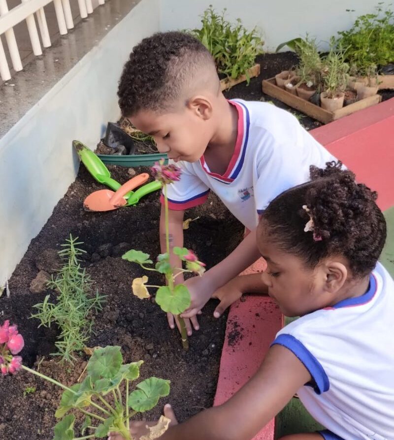 Jardim sensorial: novo espaço proporciona aprendizado único para as crianças