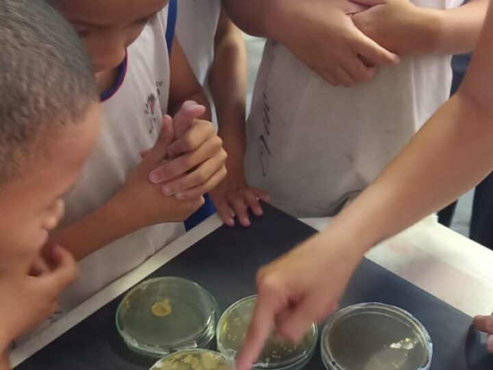 Refeitório legal: projeto promove autonomia na oferta da alimentação escolar
