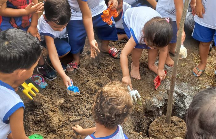 Educação: crianças plantam árvores e aprendem sobre sustentabilidade
