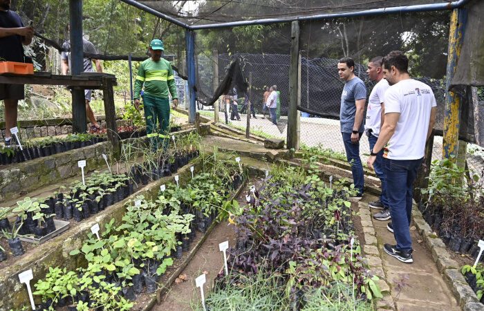 Prefeitura entrega obras de reforma geral do Parque Municipal de Tabuazeiro