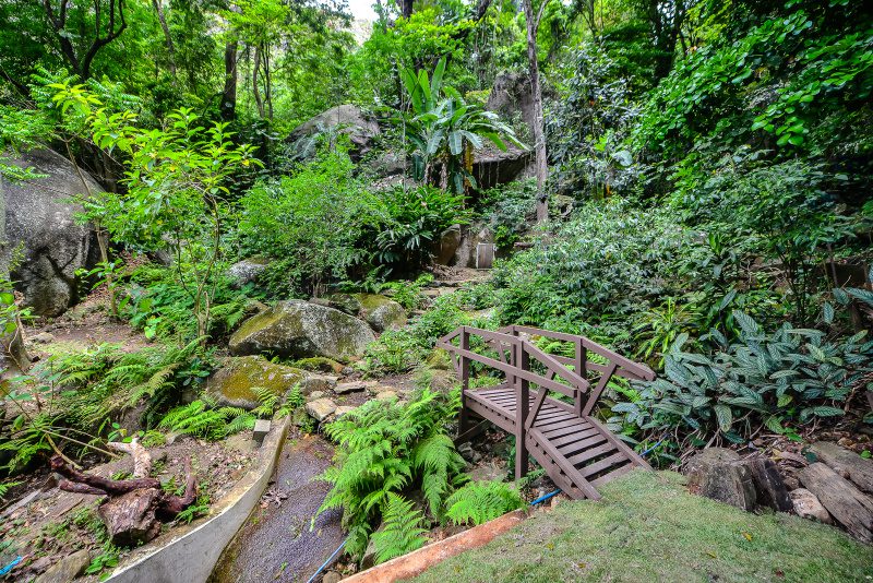 Ação cidadã vai unir moradores e escoteiros no Parque Gruta da Onça neste sábado