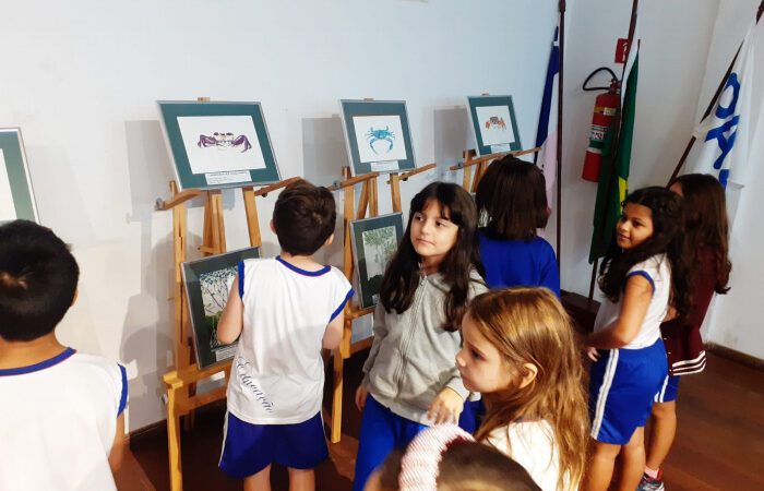 Exposição Manguezal Múltiplos Olhares encanta estudantes de Vitória