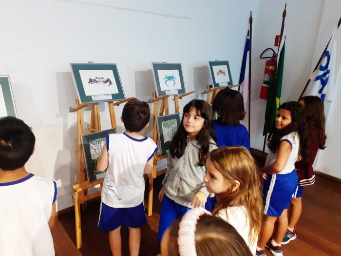 Exposição Manguezal Múltiplos Olhares encanta estudantes de Vitória