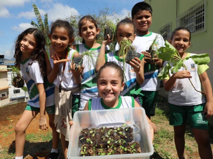 Horta Escolar inspira alunos a plantar, cultivar e colher seu próprio alimento