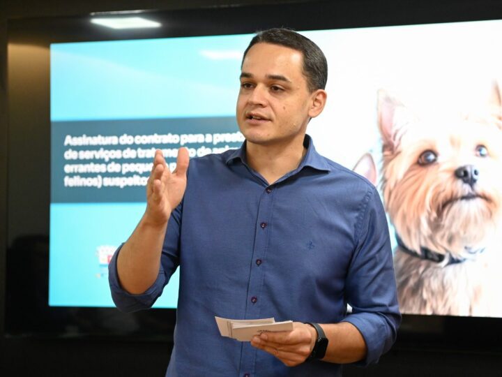 Prefeito Pazolini garante assistência a animais de rua com esporotricose