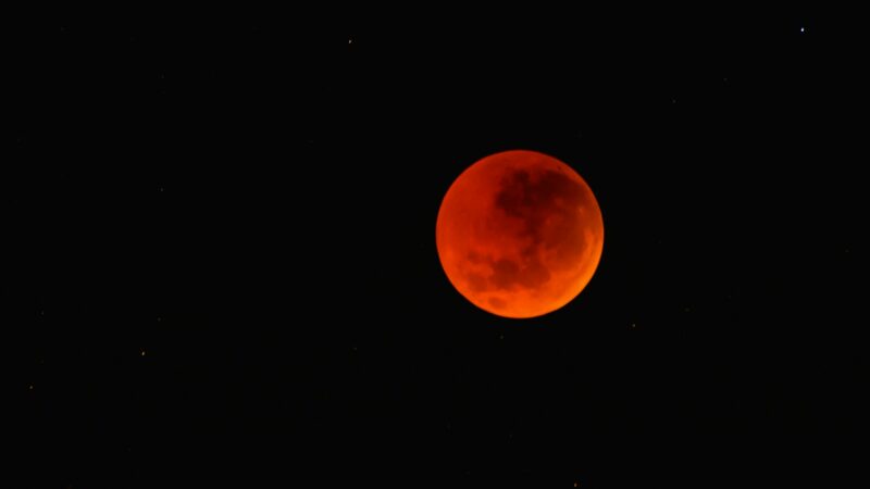 “Lua de sangue”: Descubra como acompanhar o eclipse total da lua nesta sexta-feira (14/03)